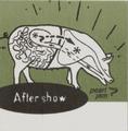 Aftershow Satin Square Green Pig