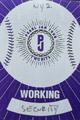 Working Pass - Purple Satin
