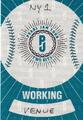 Working Pass - Green Satin 