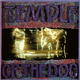 Temple Of The Dog