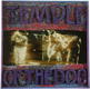 Temple Of The Dog