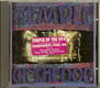 Temple Of The Dog